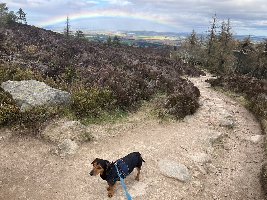 Walk up Bennachie