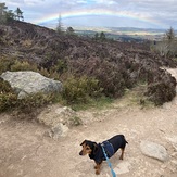 Walk up Bennachie