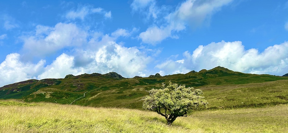 Grange Fell