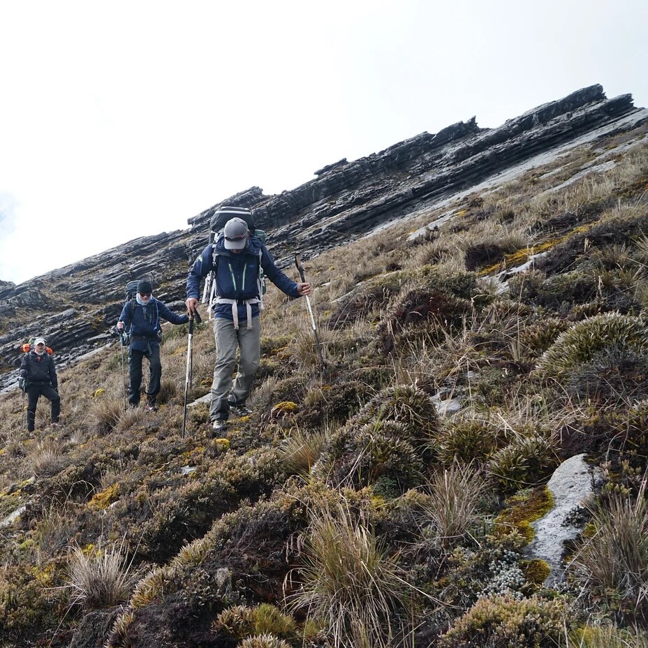 Mandala Peak Expedition, Mount Giluwe