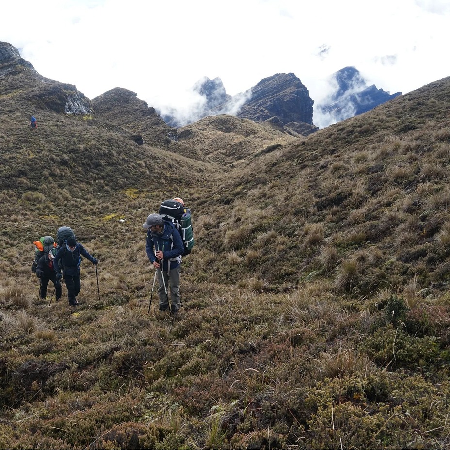 Mount Wilhelm Mountain Photo by Trek-Papua | 8:59 pm 2 Sep 2024