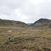 Mandala Peak Expedition, Puncak Trikora photo