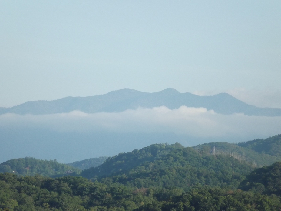 Mount LeConte from Treetop cabin 