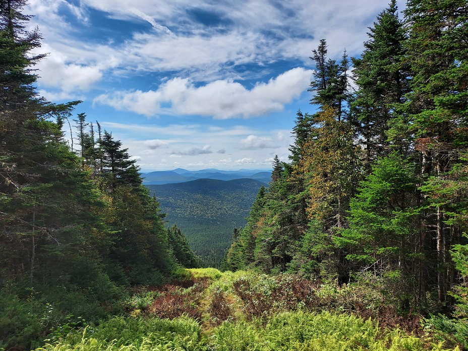 Looking South - East from Boundary Peak, Boundary Peak (Maine)