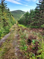 Boundary Peak, Boundary Peak (Maine) photo