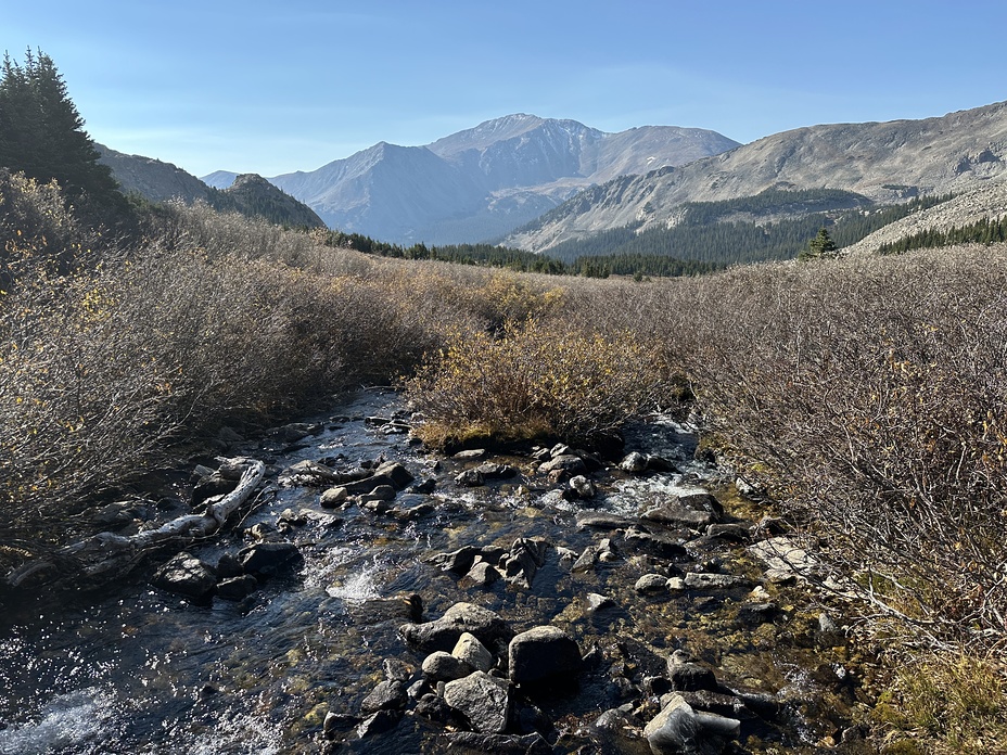 Mt Yale from Mt Harvard Trail, Mount Yale