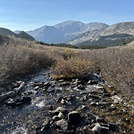 Mt Yale from Mt Harvard Trail