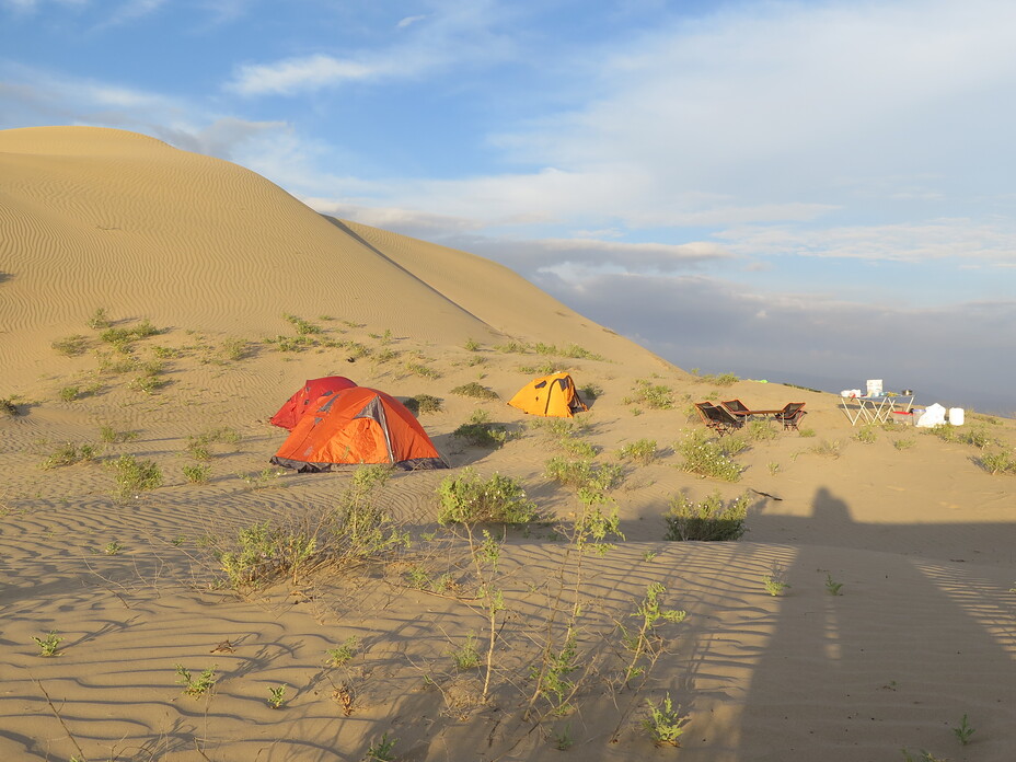 Cerro Blanco Sand Dune Camping, Coropuna