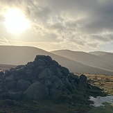 Watson's Dodd summit