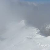 monte Panormo, Alburni