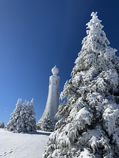 Frosty, Mount Greylock photo