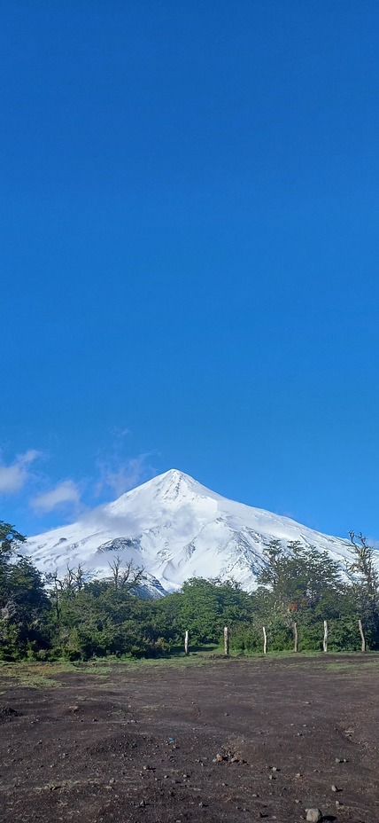 Araucaria y Lanín, Volcan Lanin