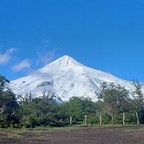 Araucaria y Lanín, Volcan Lanin