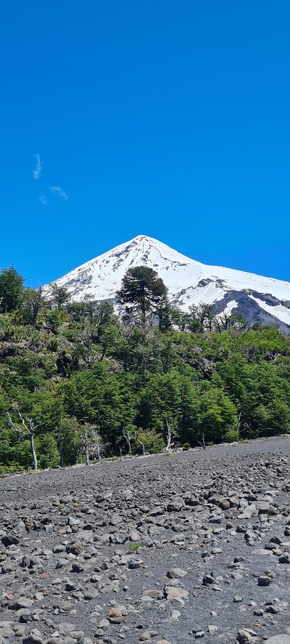 Araucaria y Lanín, Volcan Lanin