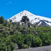 Araucaria y Lanín, Volcan Lanin