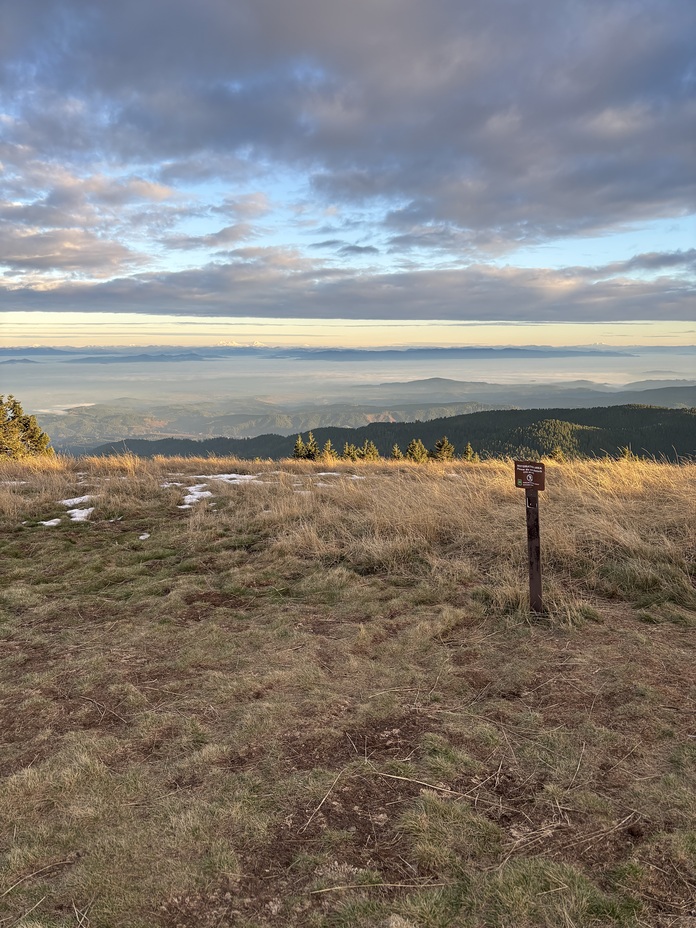 Top of Marys Peak