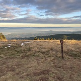 Top of Marys Peak