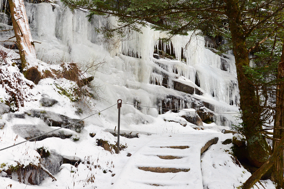 Icy Trillium Gap trail, Mount LeConte