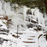 Icy Trillium Gap trail, Mount LeConte