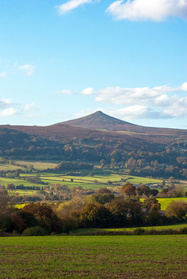 Sugar Loaf in Autumn, Sugar Loaf Mountain (Wales)