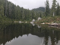 Middle point, at the 1000m but a bit farther, Mount Bishop (British Columbia) photo