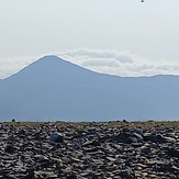 View from summit, Mynydd Mawr