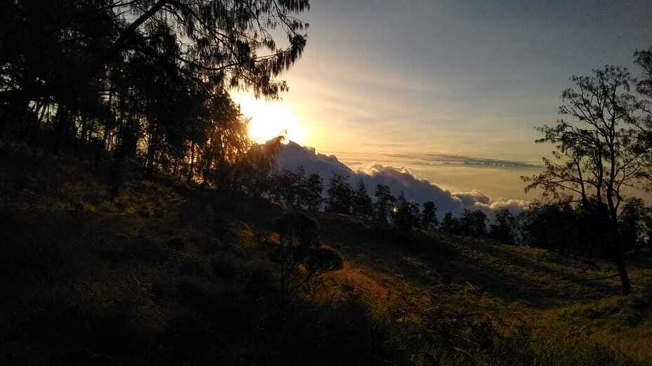 SABANA LAWU, Mount Lawu