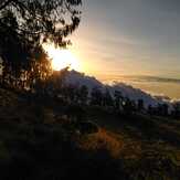 SABANA LAWU, Mount Lawu