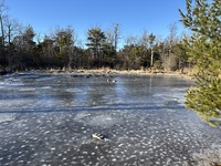 Jay and Kim skate Shortoff pond 1/25/25, Shortoff Mountain photo