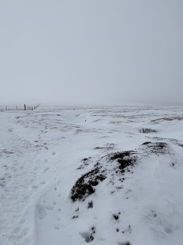 Nr. Scotsman’s Cairn, The Cheviot