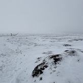 Nr. Scotsman’s Cairn, The Cheviot