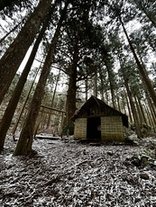 Takami Cedar, Mount Takami photo