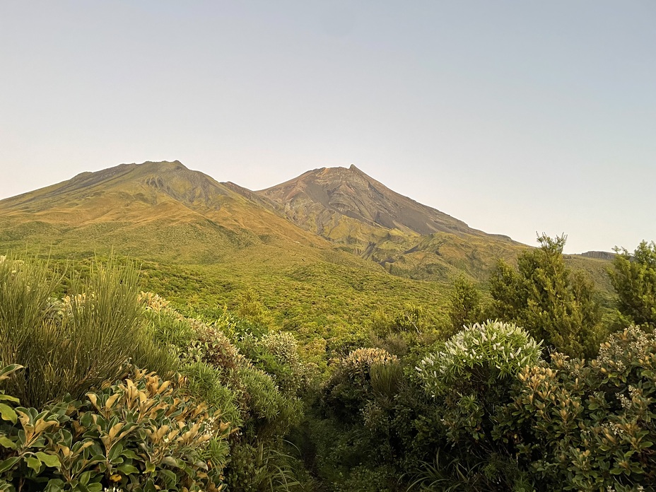 Kapuni Track, Mount Egmont/Taranaki