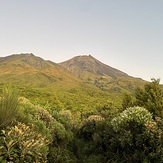 Kapuni Track, Mount Egmont/Taranaki