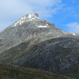 Store Blåmann