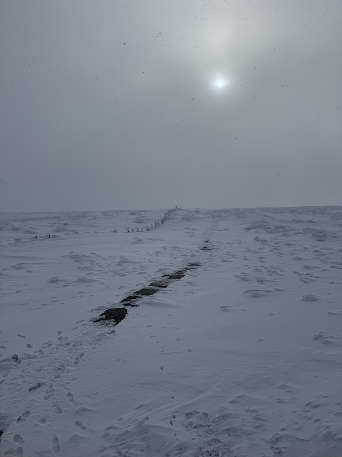 Cheviot Summit, The Cheviot