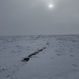 Cheviot Summit, The Cheviot