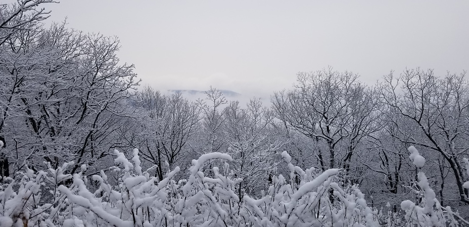 Springer Mountain weather