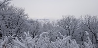 Stunning Snowy Overlook, Springer Mountain photo