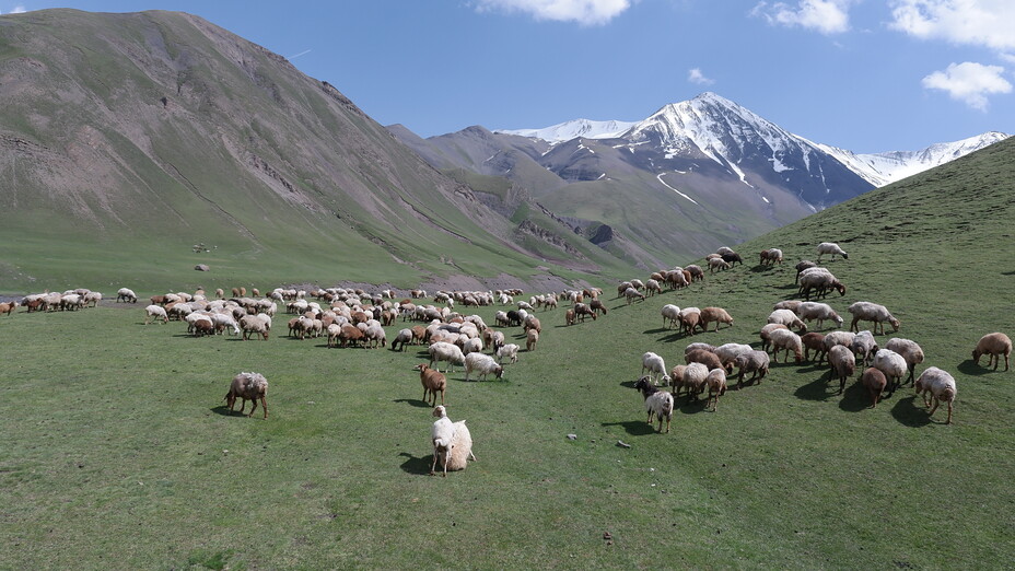 Shahyaylak 2700 m, Mount Bazardüzü