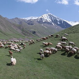 Shahyaylak 2700 m, Mount Bazardüzü