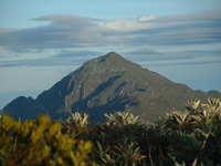 Pico Naiguatá photo