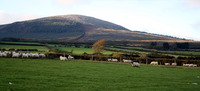 Black Rock Mountain, County Wexford photo