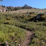 Trail to the saddle, Hyndman Peak